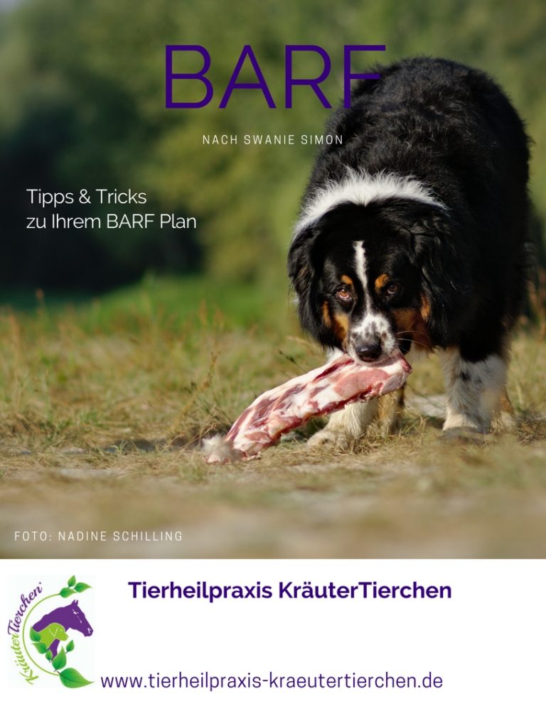 1 Mobile Tierheilpraxis KräuterTierchen®